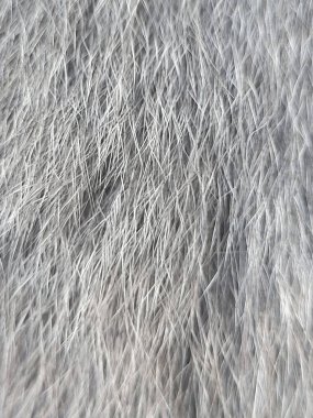 Soyut gri arka plan, kaotik beyaz çizgiler, hareket ve dinamik hissi yaratmak, modern tasarım ve yaratıcı projeler için mükemmel.. 