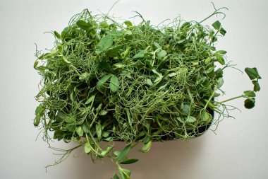 A close-up, top-view of fresh green pea sprouts in a black pot on a white table, highlighting their vibrant color and organic texture, perfect for healthy eating.