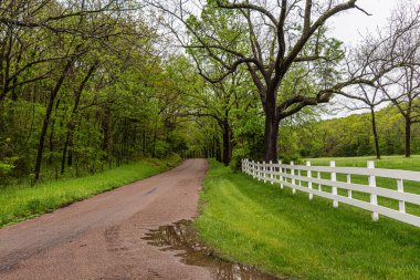 Yağmurdan hemen sonra Missouri Ozarks 'ta kırsal bir yol. Yol ve çitler ağaç gölgesinde bir kaybolma noktası sağlar.