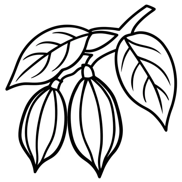 Cocoa Pods On Branch Line Art Coloring Page