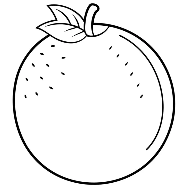 Coconut Fruit Line Art Coloring Page