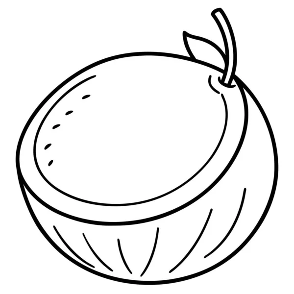 Coconut Half Line Art Coloring Page