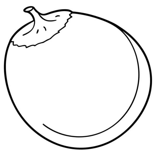 Coconut Half Outline Line Art Coloring Page