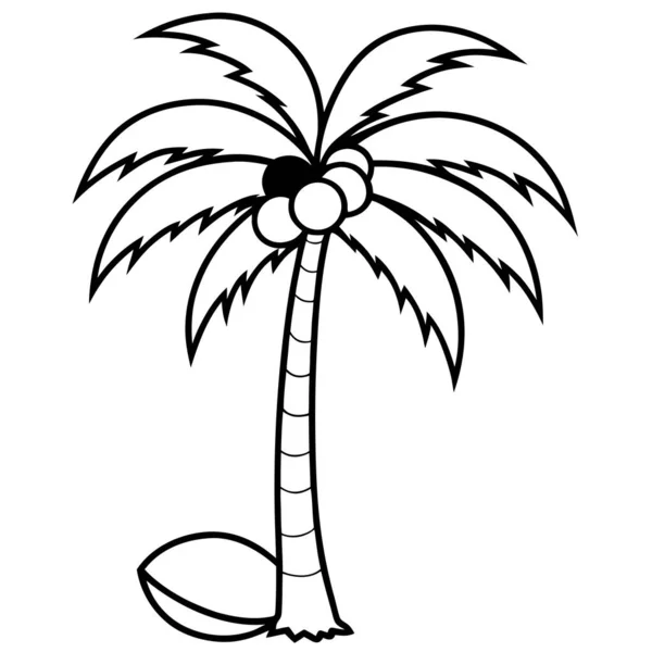 Coconut Palm With Coconuts Line Art Coloring Page