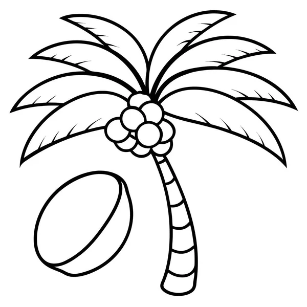 Coconut Palm With Nuts Line Art Coloring Page