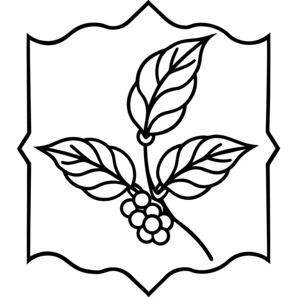 Coffee Plant Branch With Ornamental Frame Line Art