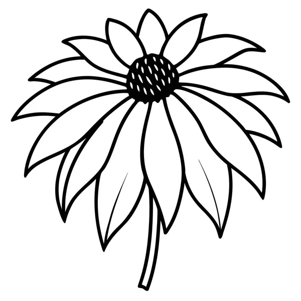 Coneflower Flower Line Art Coloring Page