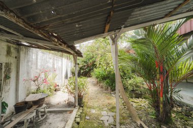 A view of a neglected tropical garden with a damaged roof structure.