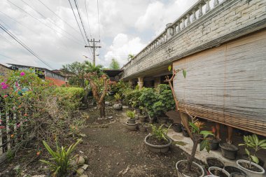 Lush garden with various plants in pots, bamboo blinds, stone wall, tropical atmosphere.
