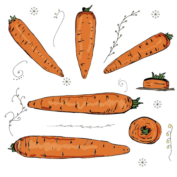 Patrón sin costuras con zanahoria. Zanahoria en el fondo blanco . — Vector de stock
