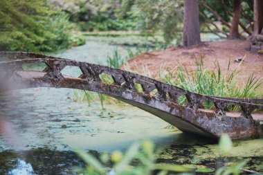 A picturesque concrete bridge arches over a calm pond, embraced by vibrant plants and trees in a peaceful garden. The scene radiates tranquility and natural beauty.