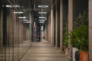 Şehir ortamında sütunlar ve bitkilerle dolu iyi ışıklandırılmış bir yürüyüş yolu. Modern tasarım cam yüzeylere yansımaları içeriyor, gece şık bir atmosfer yaratıyor..