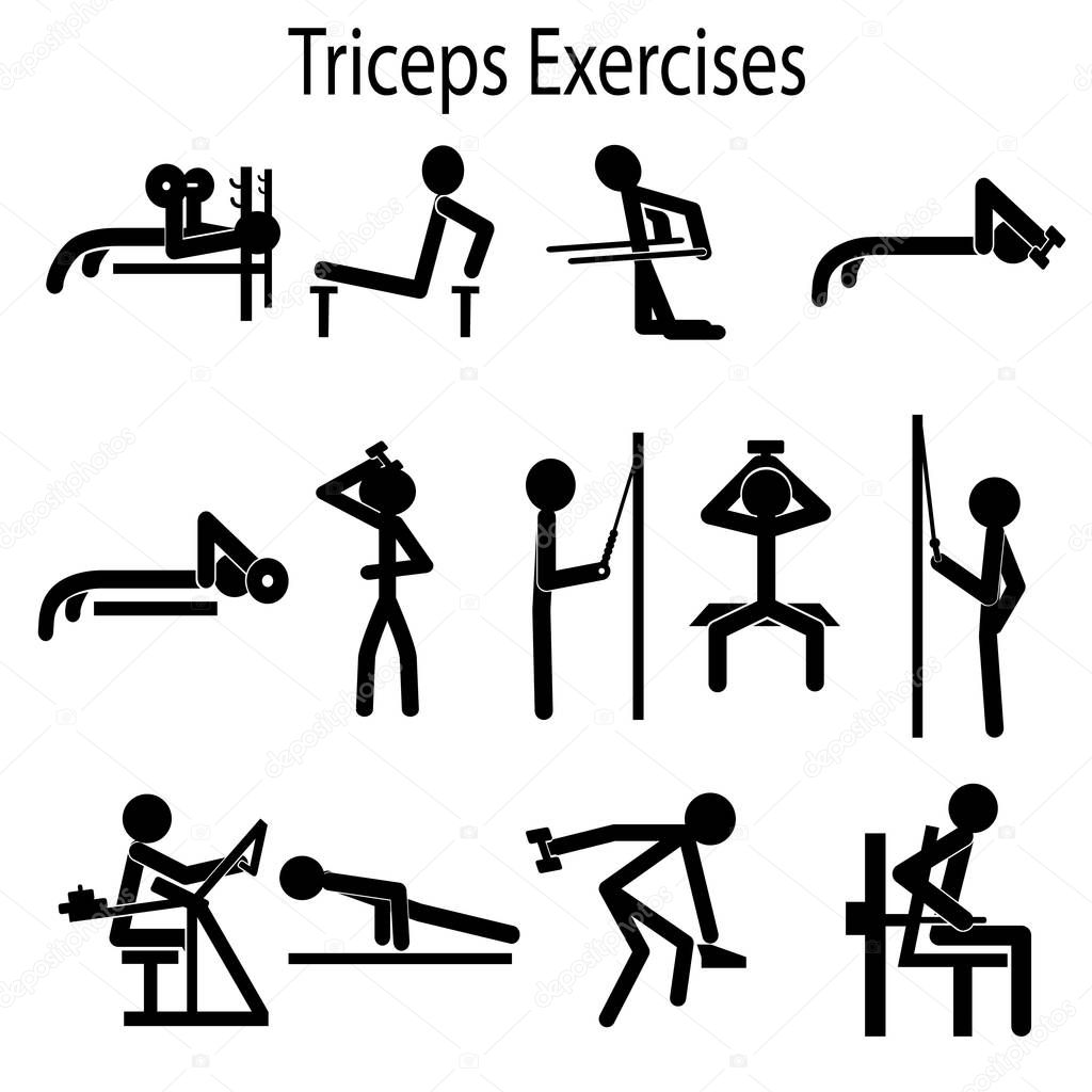 Set of gym exercises for back pump. Pictogram illustration.
