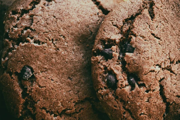 Tasty chocolate chip cookies shaded background. Round cookies with chocolate chip close up