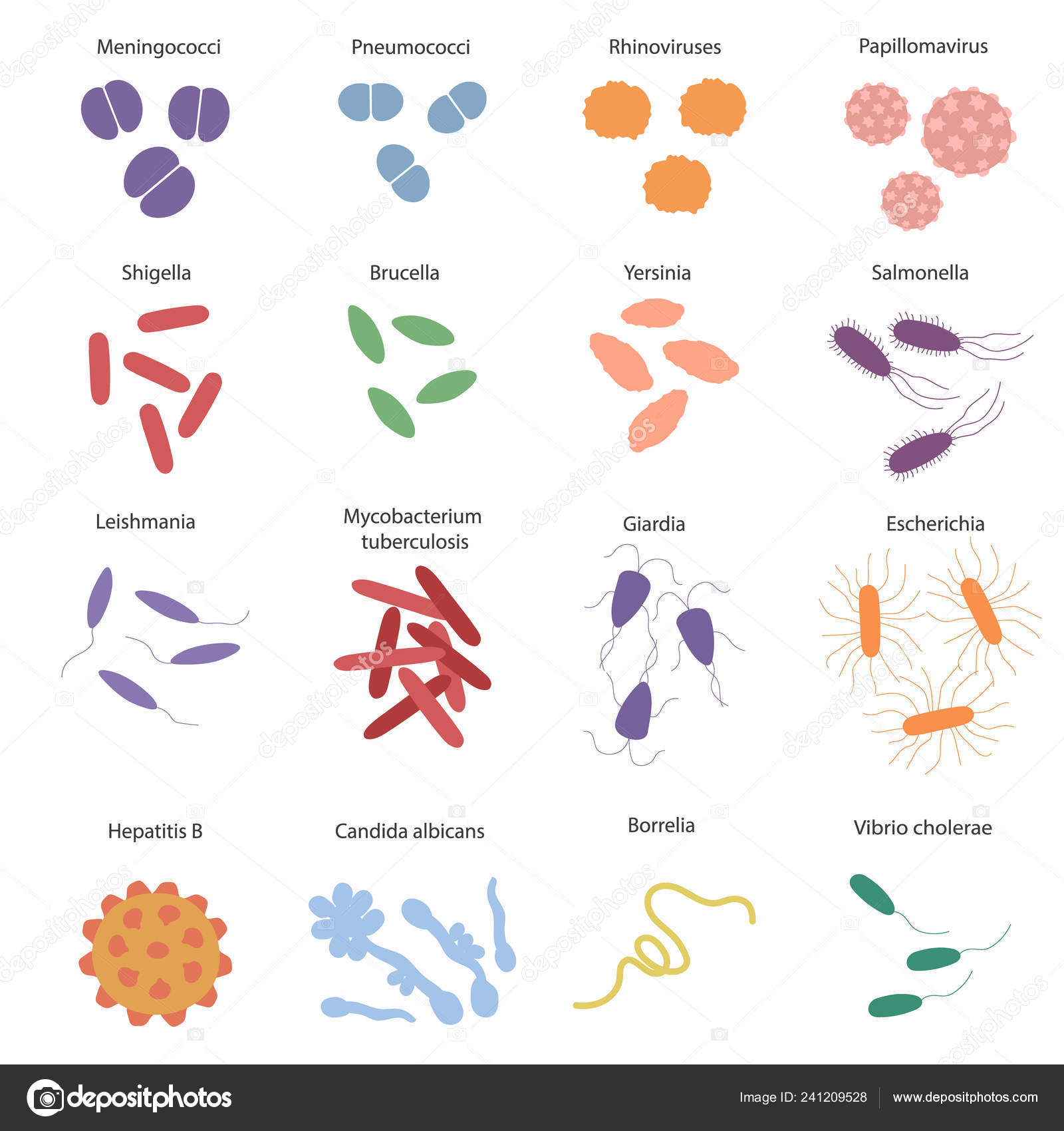 Giardiasis virus or bacteria, Giardia fertőzés, a pápaszemes szörnyeteg Giardia virus or bacteria