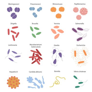 Big colorfull set with different dangerous viruses and germs with its names. Vector illustration for education on microbiology clipart