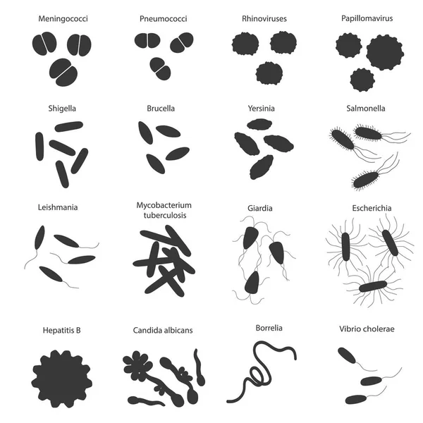 大黑集合与不同的危险病毒和细菌以它的名字 微生物学教育的向量例证 — 图库矢量图片