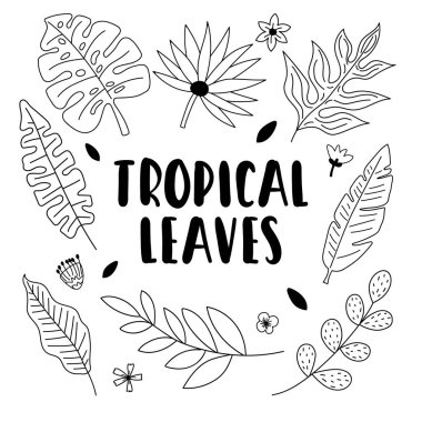 Büyük anahat handdrawn koleksiyonu tropikal yaprak ve çiçek. Basit şirin örnek tasarım t shirt, posterler, kartlar. Vektör çizim