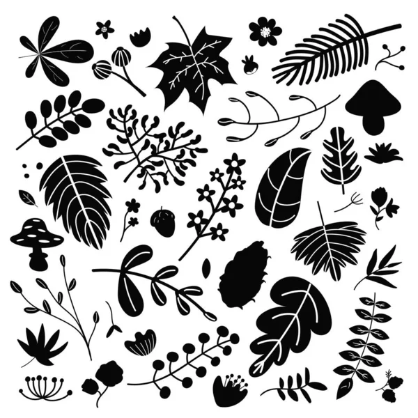 Grande Collection Silhouettes Avec Fleurs Feuilles Clip Art Noir Vecteur — Image vectorielle