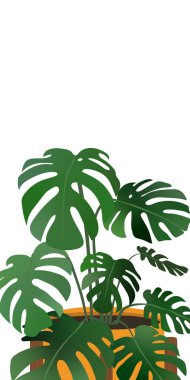 Masasında ev bitkisi olan modern web afişi. Kapalı alandaki bitkilerle ilgilenmek. Hobi olarak. Metin için boş alana sahip vektör düz tasarım kartı.