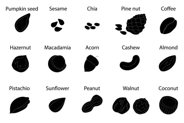 Schwarze Silhouette Mit Verschiedenen Nüssen Und Samen Bio Konzept Für — Stockvektor
