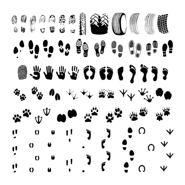 동물들과 사람들의 발자국이 흔적이 실루엣을 합니다 디자인을 고품질의 그램입니다 일러스트 — 스톡 벡터