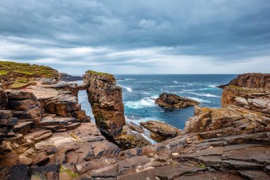 Orkney Adaları Yesnaby uçurumlarda