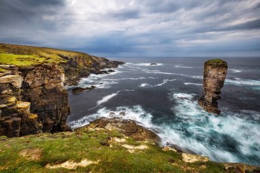Orkney Adaları Yesnaby uçurumlarda