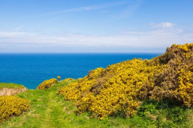 Cullen köyü Findlater kalesi kalıntıları