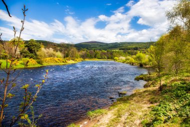 Nehri Spey Rothes köyü yakınlarında
