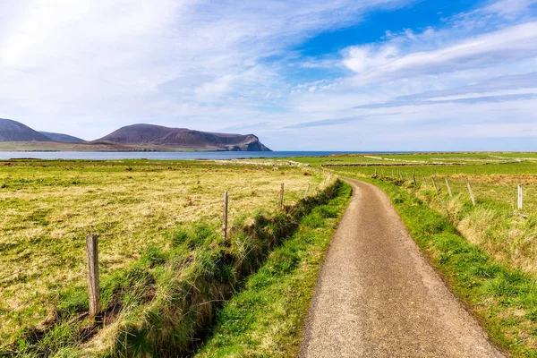 Uma Estrada Para Costa Perto Stromness — Fotografia de Stock