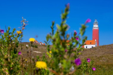 Hollanda adası Texel üzerinde Deniz Feneri Eierland