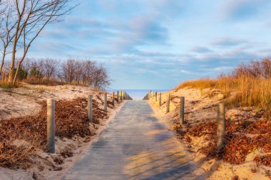 Usedom sahile giden yol