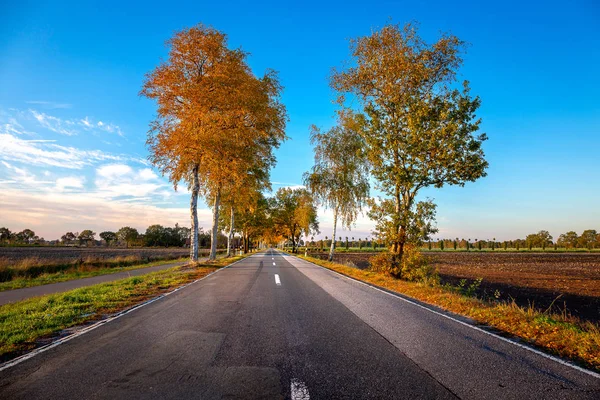 Camino cerca de Halsbek y Westerstede —  Fotos de Stock