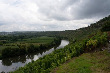 Hessigheimer Felsengarten 'dan manzaralı üzüm bağları ve bulutlu gökyüzünün altındaki Neckar Nehri.