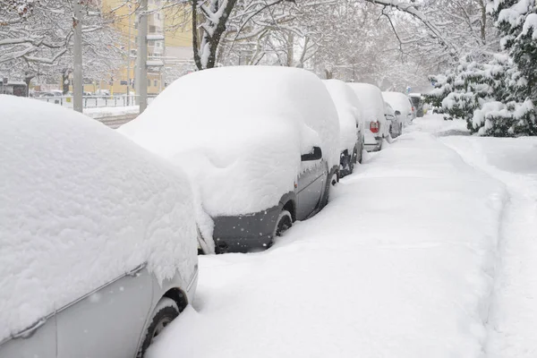 Şiddetli kar yağışı altında kalan arabalar, bir kış fırtınası sırasında yerleşim yerlerindeki bir şehir caddesinde, aşırı hava koşullarını, mevsimsel zorlukları ve soğuk iklim etkilerini gösteren araçlar..