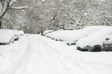 Kırmızı şapkalı bir kadın park halindeki bir arabadan kar temizlerken, yoğun kar yağışı sırasında kedi karla kaplı bir yerleşim bölgesinde yürüyor.