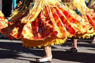 Renkli çiçek desenli etekli dansçıların dantelli ve püsküllü danslarıyla dolu canlı bir kültürel dans And festivali kutlamalarında.