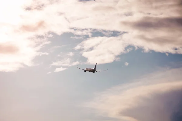 Bir uçak gökyüzünde. Bir uçakla tatil seyahat.