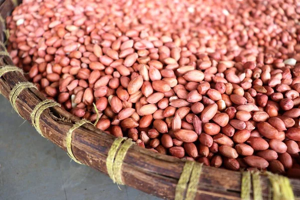Çiğ fıstık ezmesi. Lezzetli soslar ya da lezzetli fıstık ezmesi için kullanılan bir yemek malzemesi..