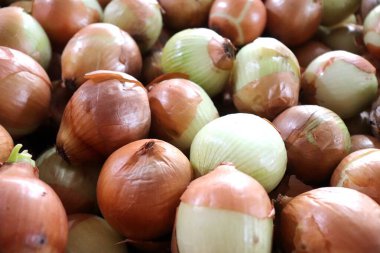 Taze soğan (genellikle soğan soğanı olarak bilinir) bir katmanlı soğandır. Güçlü aroması ve tadı nedeniyle yaygın olarak pişirme malzemesi olarak kullanılır..