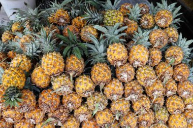 Markette kusursuz bir taze ananas deseni var. Tropikal bir tema için uygun soyut ananas temalı bir arkaplan.