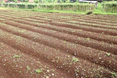 Ekin ekmeye, geleneksel tarım ve sürdürülebilir çiftçiliğin özünü sergilemeye hazır, düzenli sıra toprak yataklarıyla yeni sürülmüş bir tarım arazisi. Kahverengi bereketli toprak.
