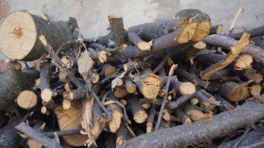 Doğranmış odun yığınları ve açık havada istiflenmiş dallar..