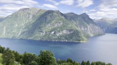 Norwegian fjords with views of mountains and forest