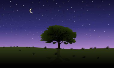 Tree in night with beautiful sky, stars and moon. Vector Design Illustration.