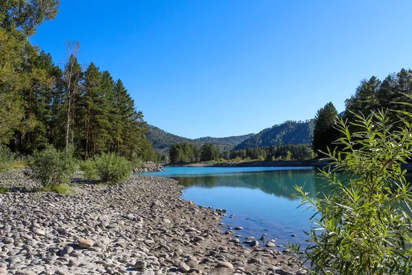 Пейзаж с отражением в воде. Прозрачный резервуар. Зеленые деревья, голубое небо, галечный пляж . Стоковое Изображение