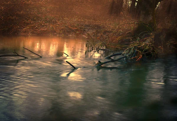 Autumn Forest Mountain Stream — Stock Photo, Image