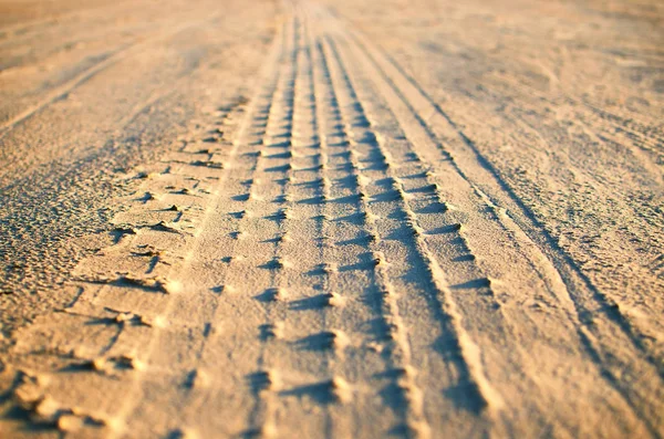 Spuren Der Beschützer Meeresstrand — Stockfoto