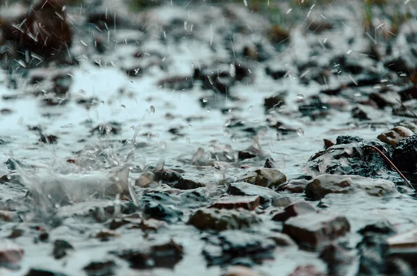 Gouttes Fortes Pluies Sur Eau — Photo